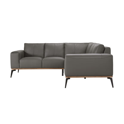 PIETRO L2110 2PC SECTIONAL