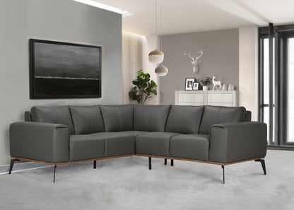 PIETRO L2110 2PC SECTIONAL